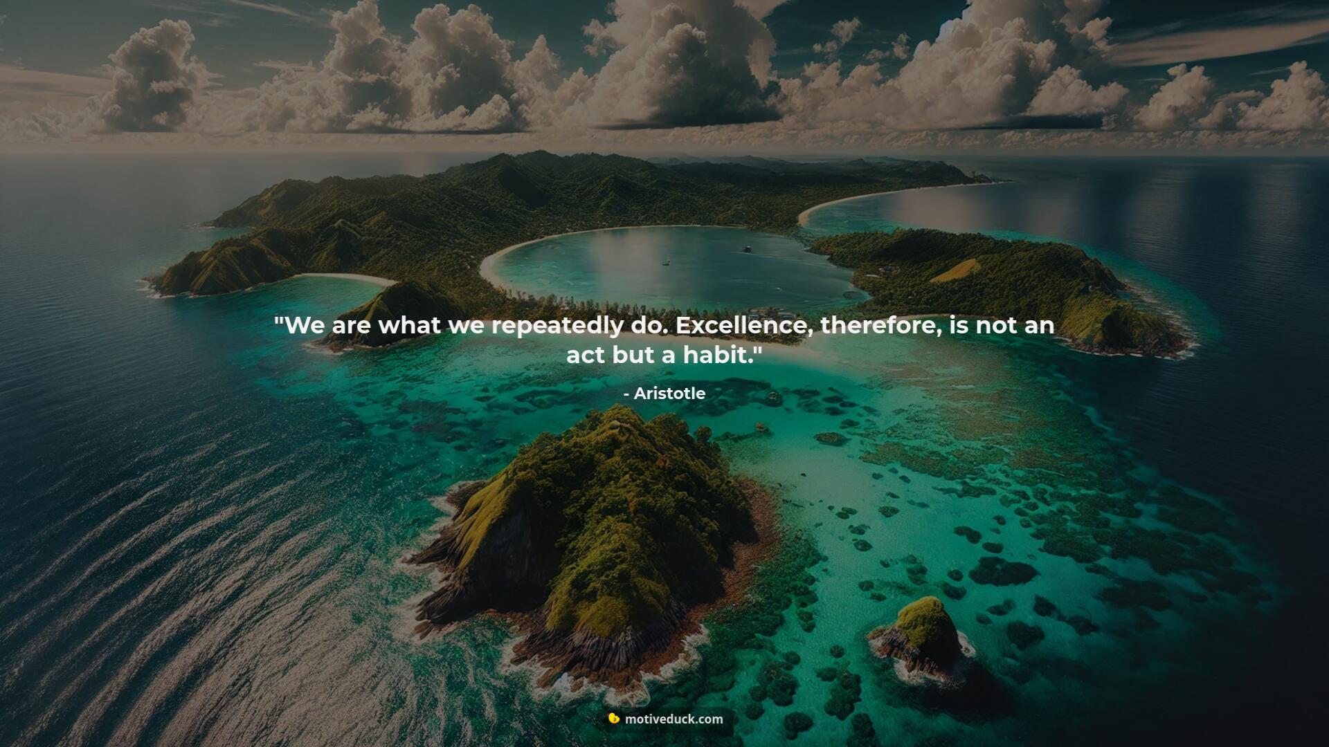 We are what we repeatedly do. Excellence, therefore, is not an act but a habit. by Aristotle