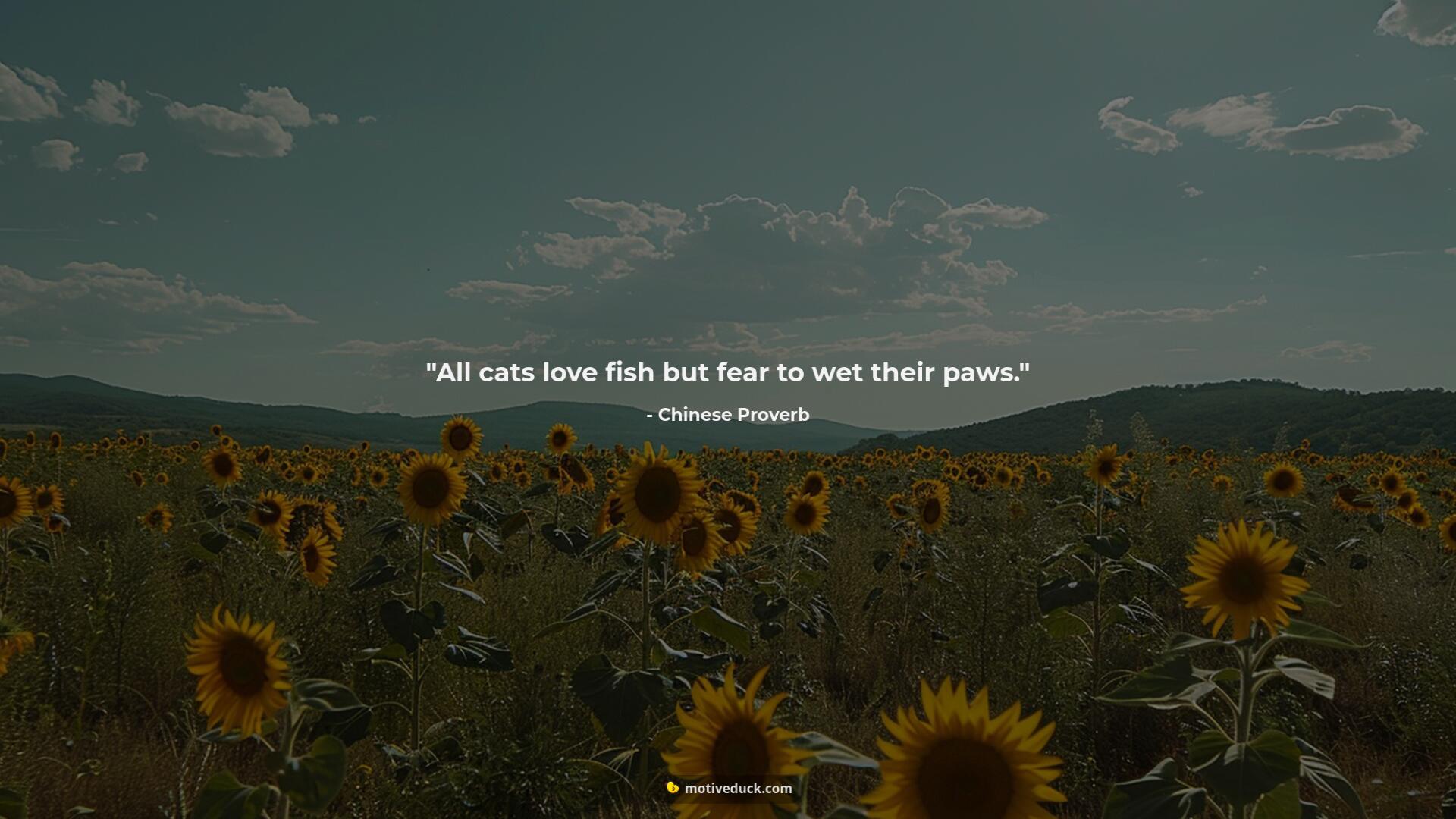 All cats love fish but fear to wet their paws.