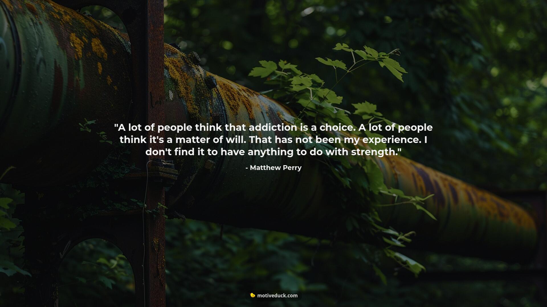 A lot of people think that addiction is a choice. A lot of people think it's a matter of will. That has not been my experience. I don't find it to have anything to do with strength.